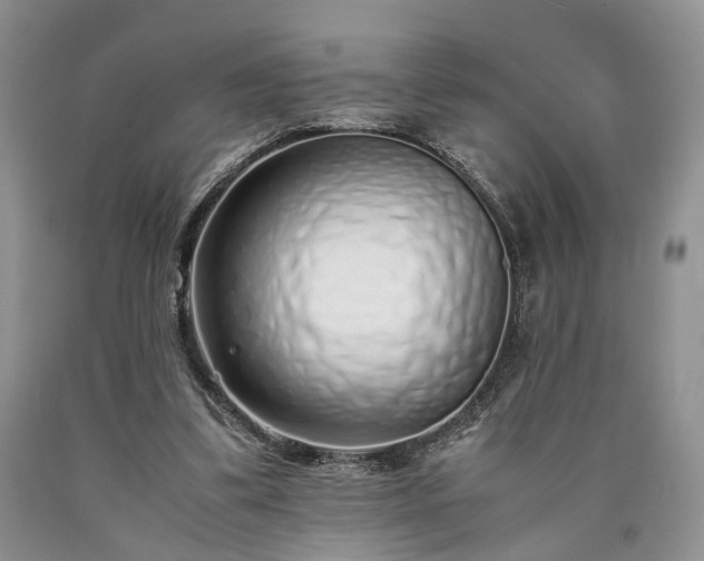 X0000090450299200707201319