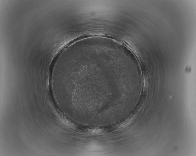 X0000090450301200707201319