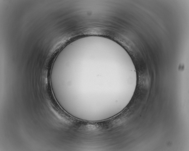 X0000090450302200707201319