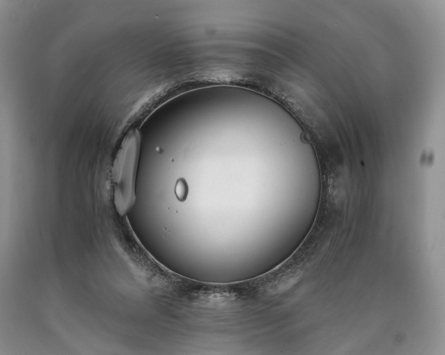 X0000090450304200707201319