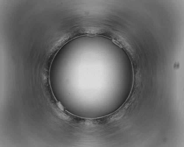 X0000090450305200707201319