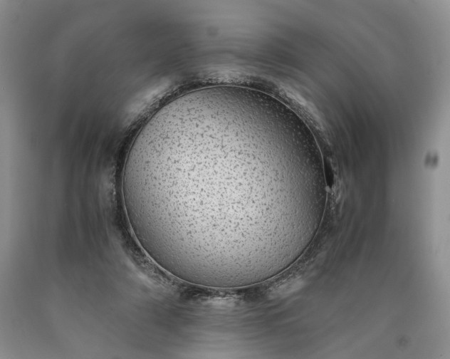 X0000090450306200707201319