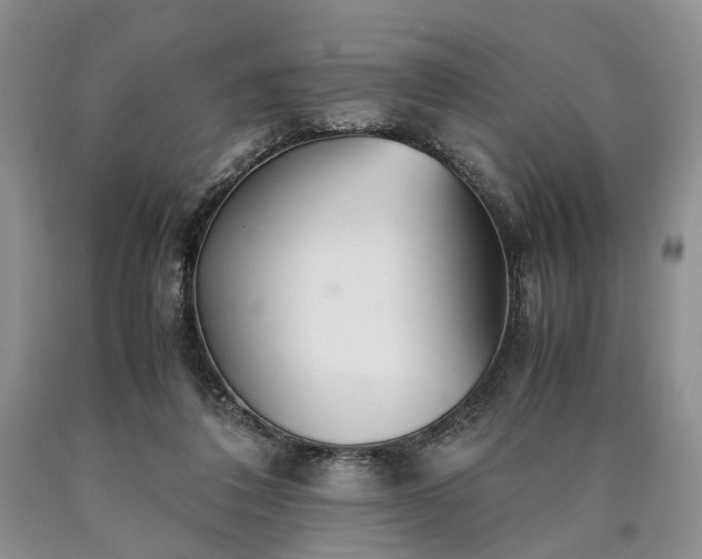 X0000090450308200707201319