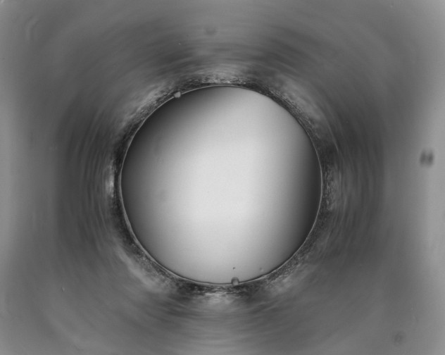 X0000090450310200707201319