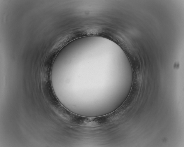 X0000090450311200707201319