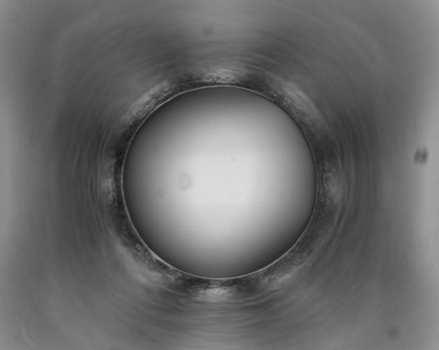 X0000090450312200707201319