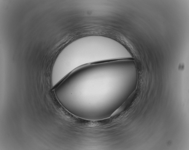 X0000090450313200707201319