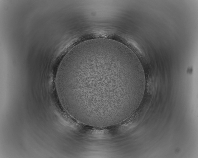 X0000090450314200707201319