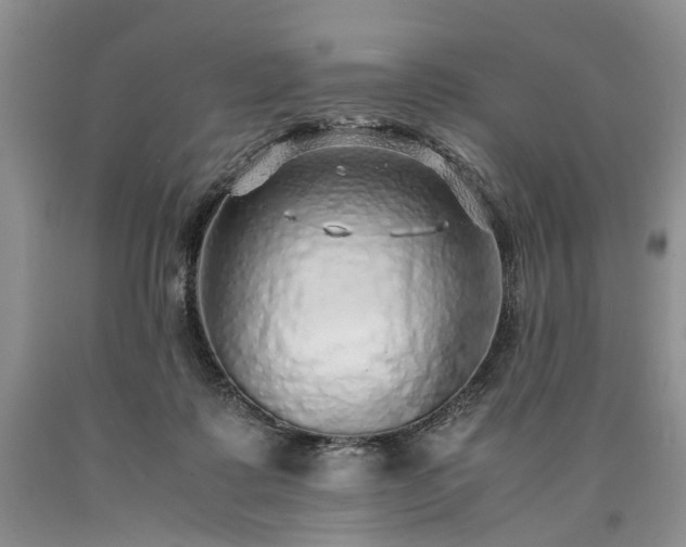 X0000090450315200707201319