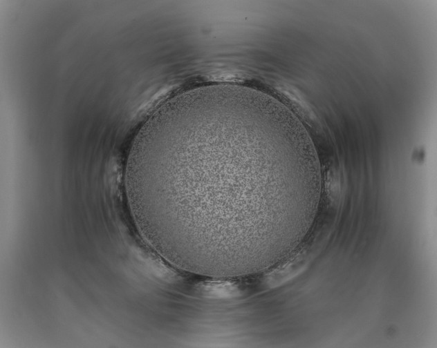 X0000090450322200707201319