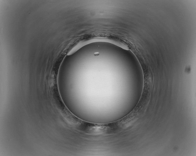 X0000090450323200707201319