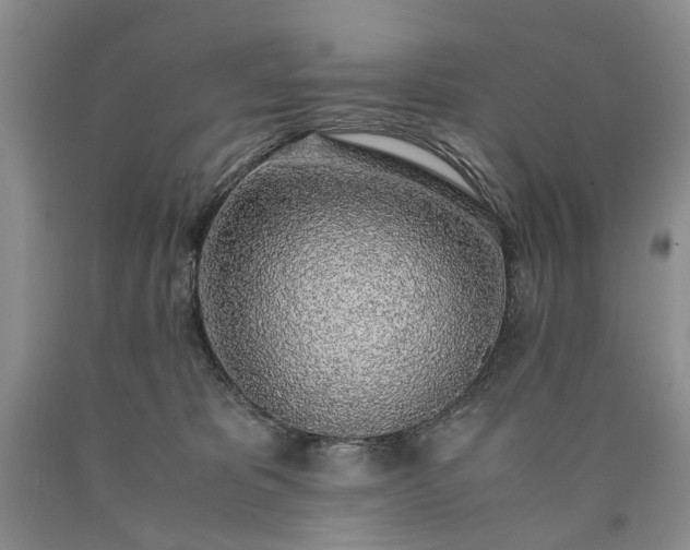 X0000090450325200707201319