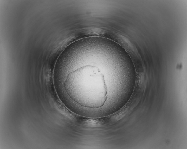 X0000090450326200707201319