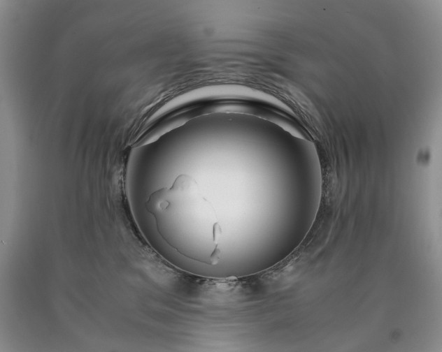 X0000090450329200707201319