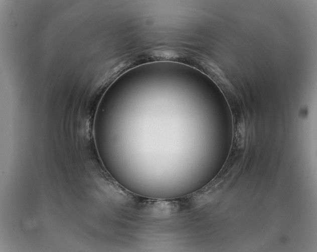 X0000090450330200707201319