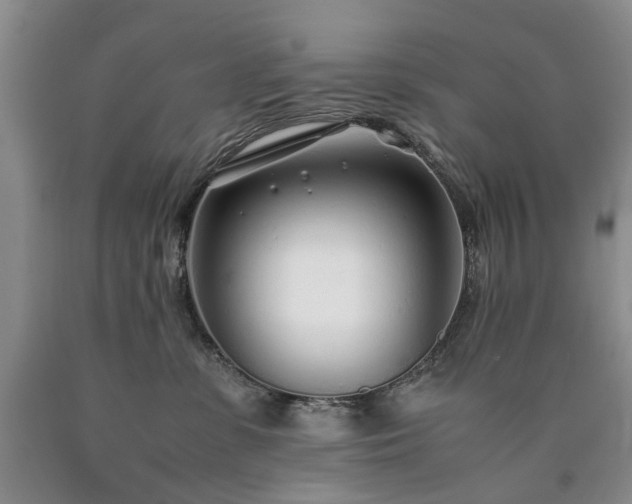 X0000090450331200707201319