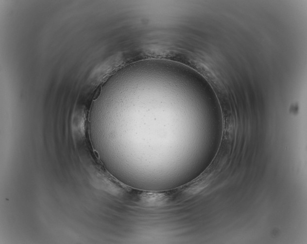 X0000090450334200707201319