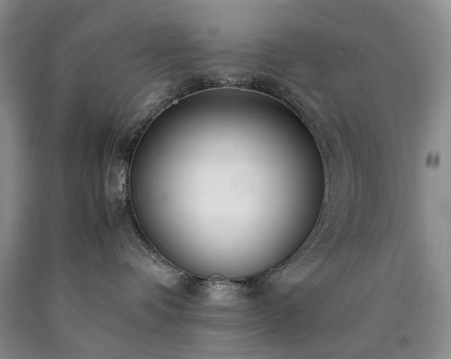 X0000090450336200707201319