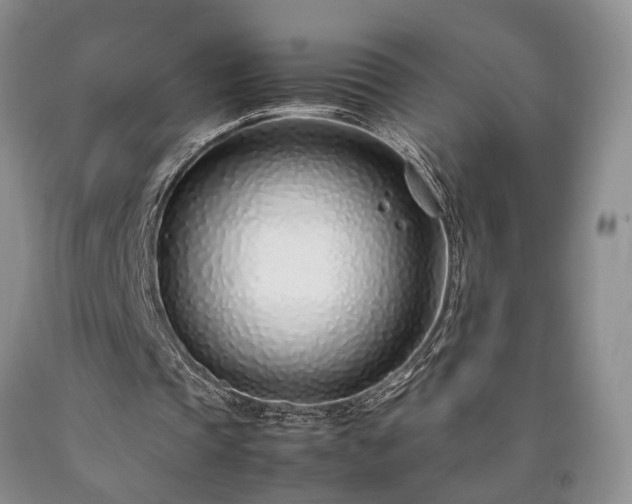 X0000090450337200707201318