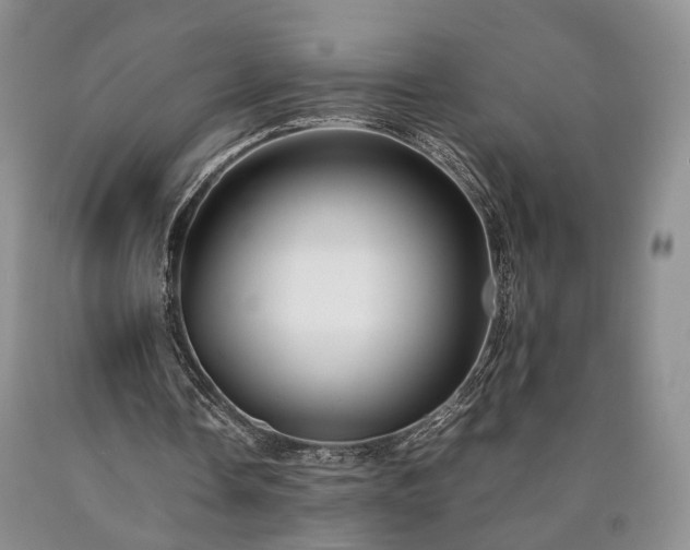 X0000090450338200707201318