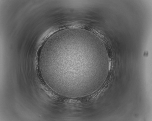 X0000090450339200707201318