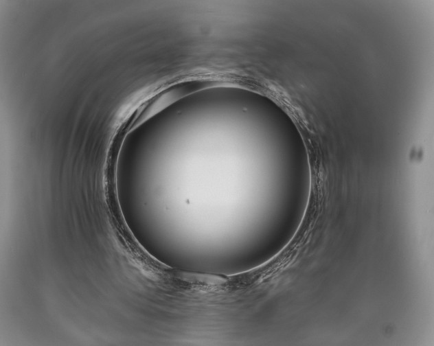 X0000090450340200707201318