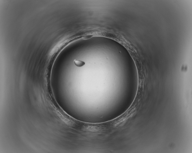 X0000090450341200707201318