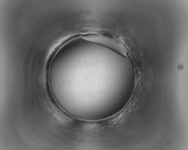 X0000090450342200707201318