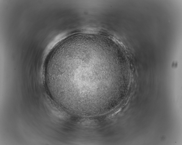 X0000090450343200707201318