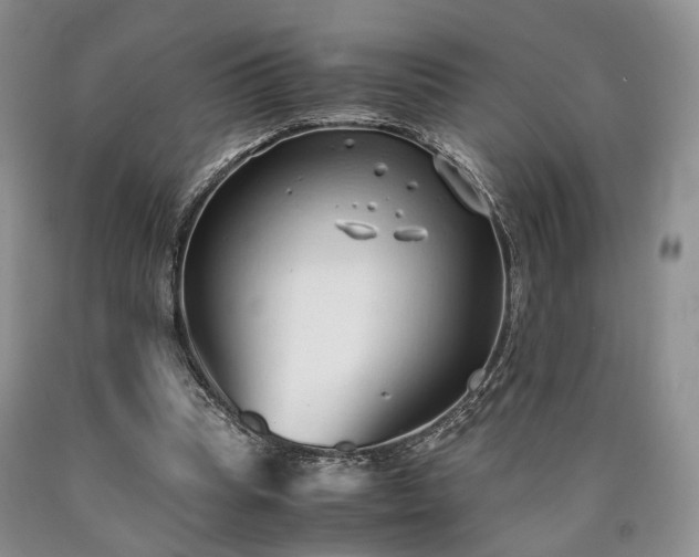 X0000090450345200707201318