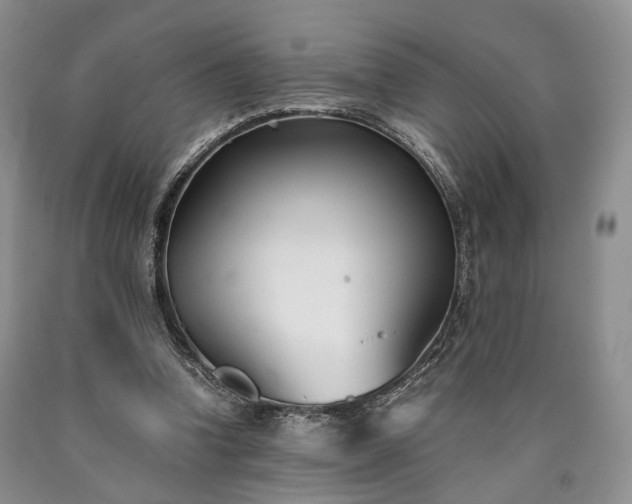 X0000090450346200707201318