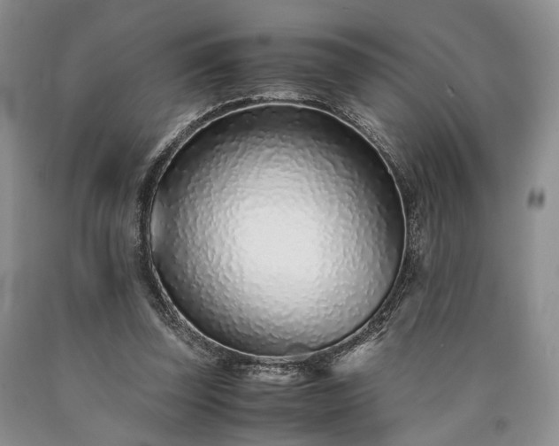 X0000090450347200707201318