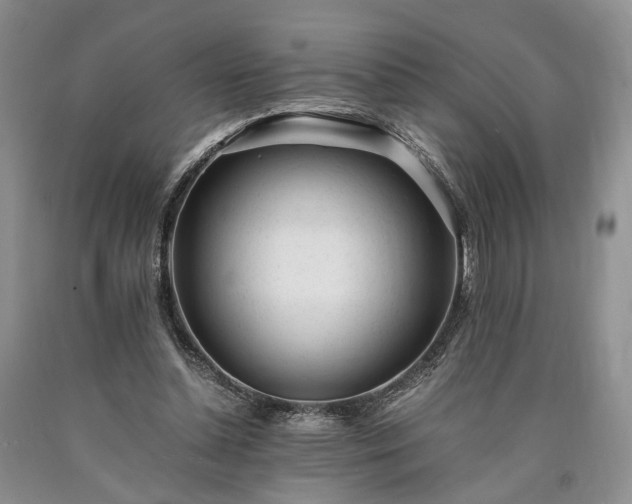 X0000090450348200707201318