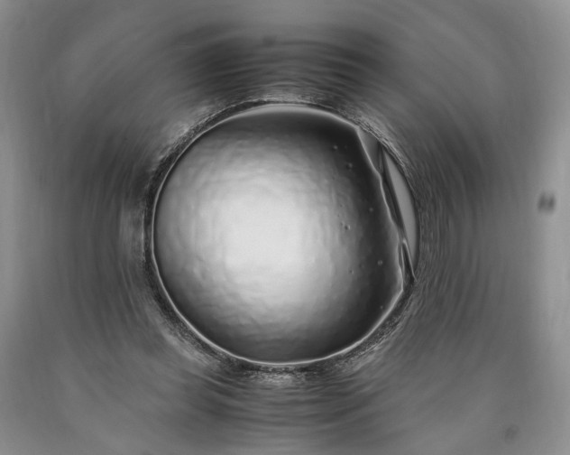 X0000090450349200707201318