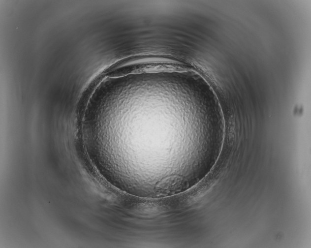 X0000090450351200707201318