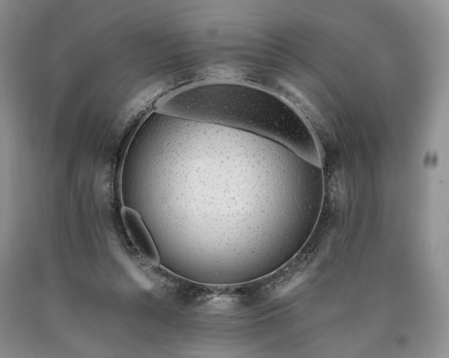 X0000090450352200707201318