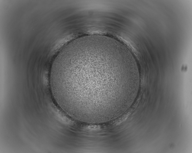 X0000090450353200707201318