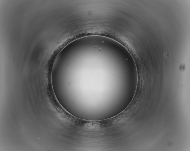 X0000090450354200707201318