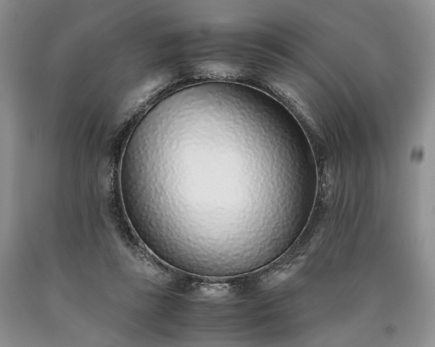 X0000090450355200707201318