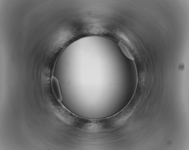 X0000090450356200707201318