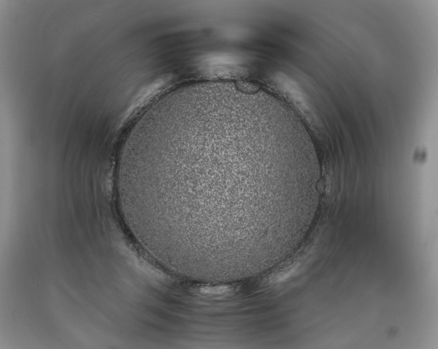 X0000090450357200707201318