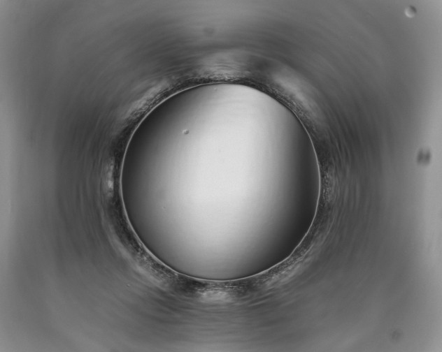 X0000090450358200707201318