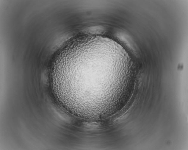 X0000090450359200707201318