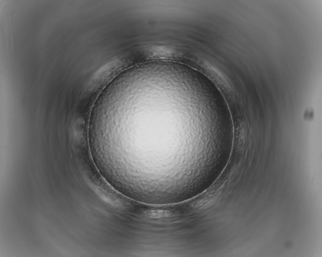 X0000090450361200707201318