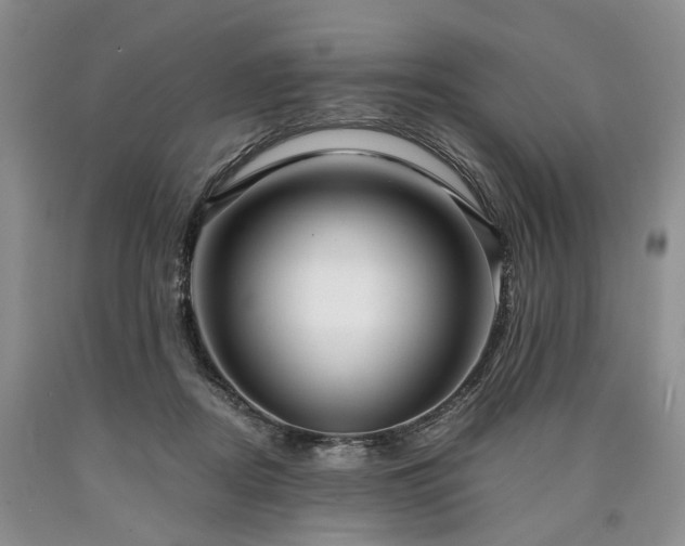 X0000090450362200707201318