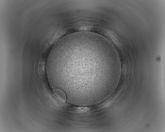 X0000090450363200707201318