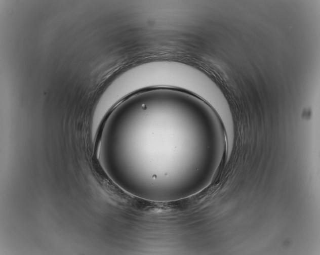 X0000090450364200707201318