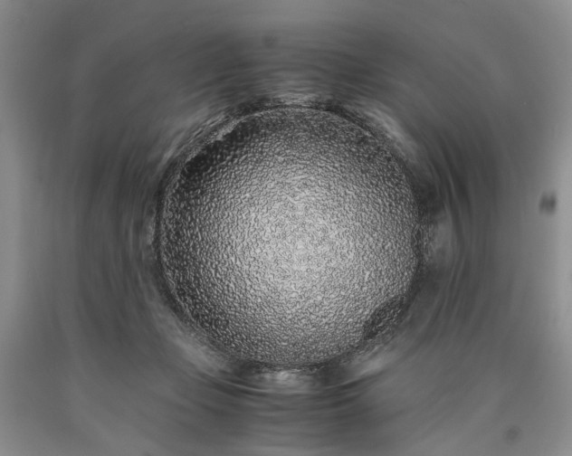 X0000090450365200707201318