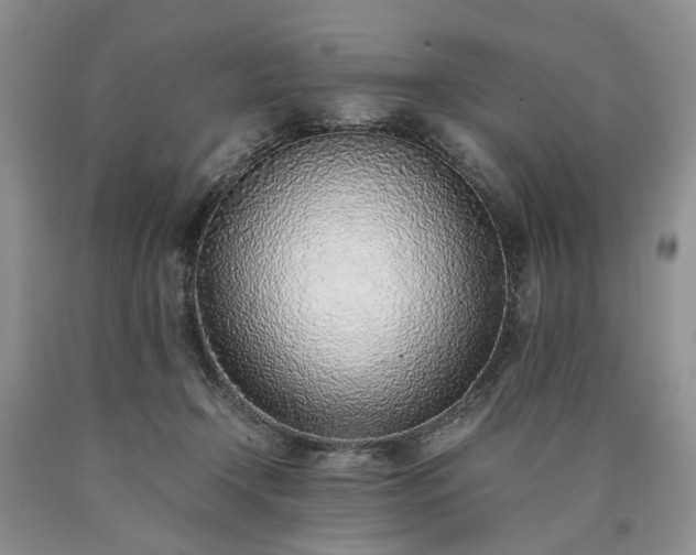 X0000090450366200707201318