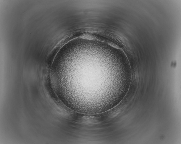 X0000090450367200707201318